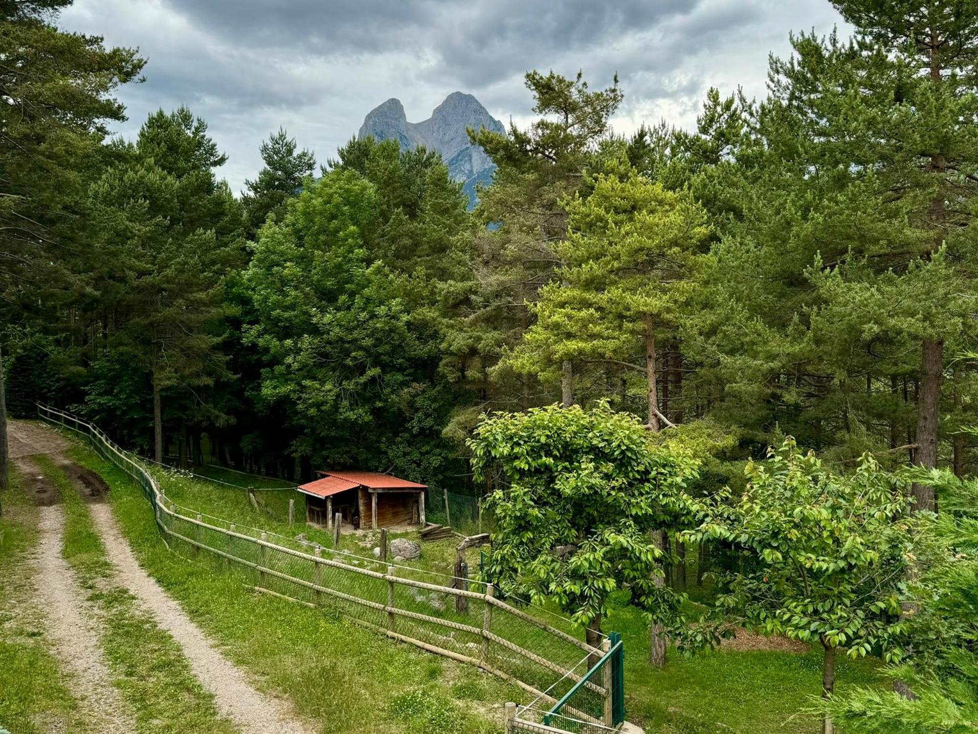Villa Cal Roig - Pedraforca Saldes Exterior foto
